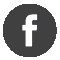 icono facebook